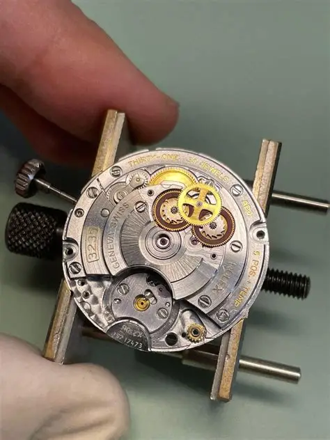 VS3235-movement-macro-view